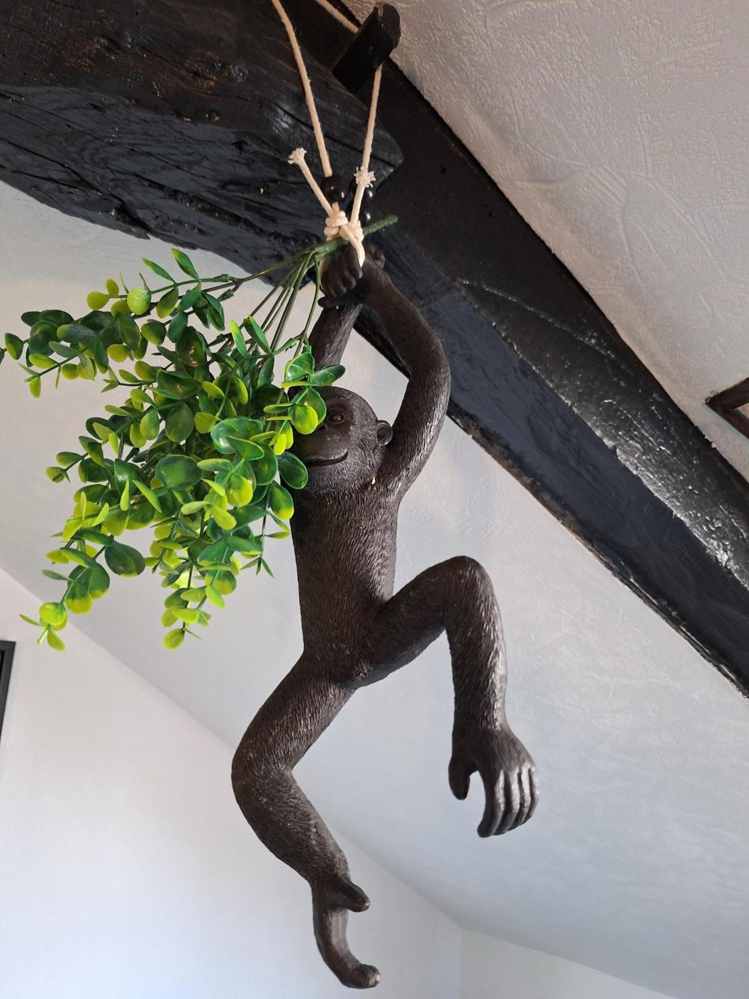 Jungle Cosy Apartment Louviers Exterior photo