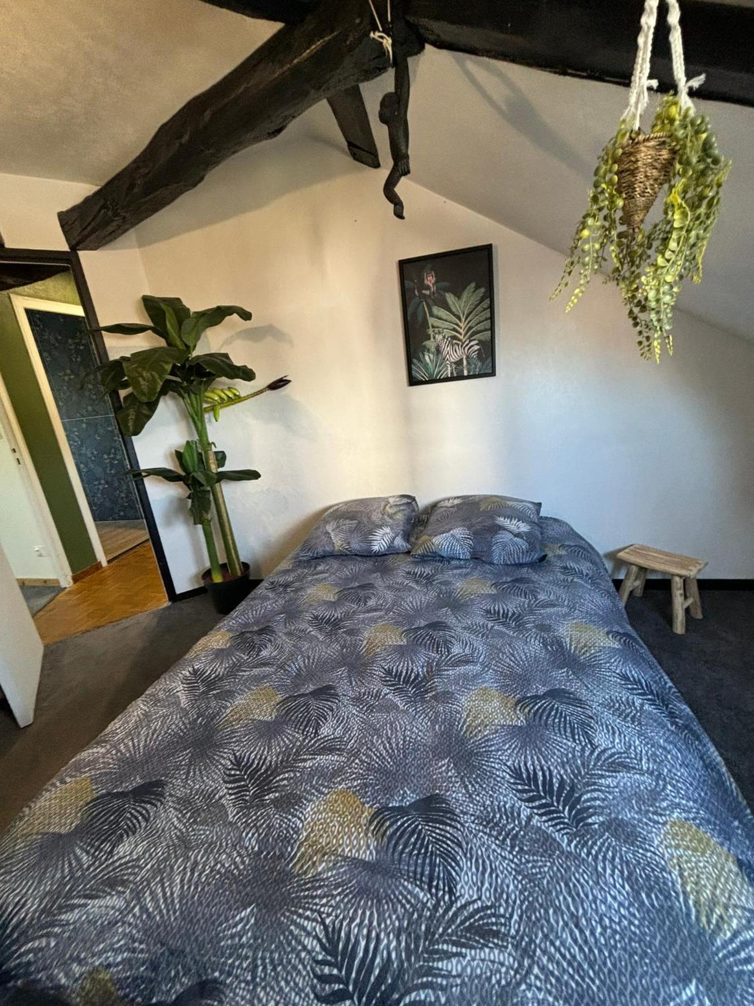 Jungle Cosy Apartment Louviers Exterior photo